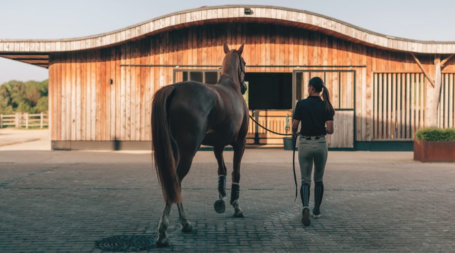 back view of professional female equestrian at modern stables with her horse